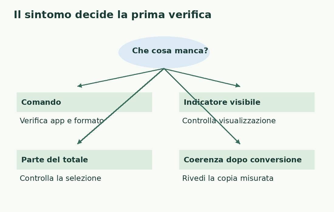 Quattro sintomi portano a verifiche diverse: comando assente, indicatore nascosto, totale parziale o differenza dopo conversione.