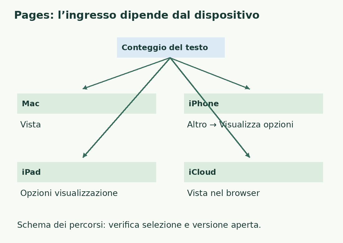 Il diagramma distingue Mac, iPhone, iPad e iCloud e indica i diversi ingressi delle statistiche documentati nella guida.